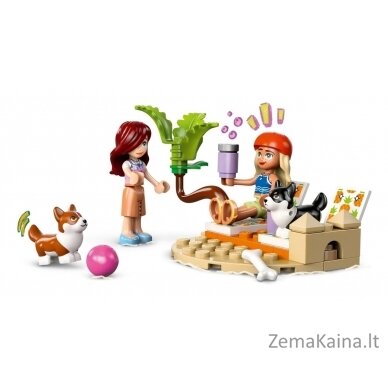 LEGO FRIENDS 42641 4