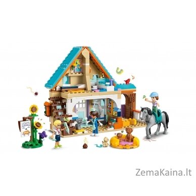 LEGO FRIENDS 42651 Horse and Pet Vet Clinic 3