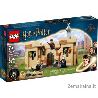 LEGO HARRY POTTER 76395 HOGWART: PIRMOJI SKRAIDYMO PAMOKA