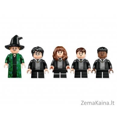 LEGO HARRY POTTER 76426 Hogvartso pilies valčių namelis 6