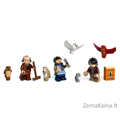 LEGO HARRY POTTER 76430 Hogvartso pilies pelėda 8