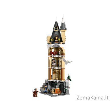 LEGO HARRY POTTER 76430 Hogvartso pilies pelėda 4