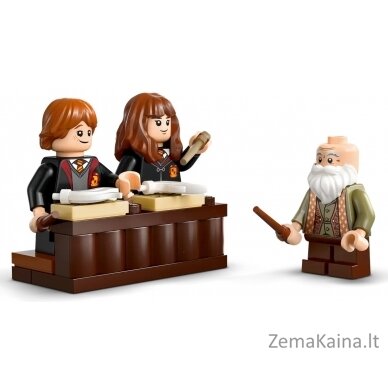 LEGO HARRY POTTER 76442 4