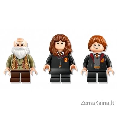 LEGO HARRY POTTER 76442 9