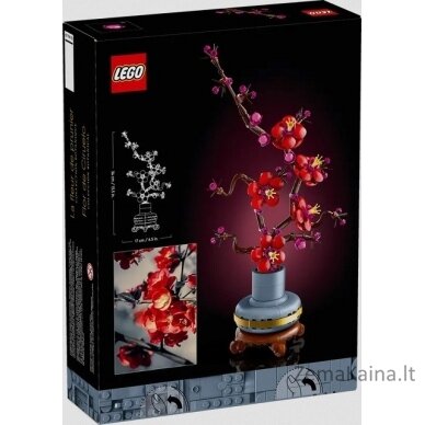 LEGO Icons 10369 Botanicals 3