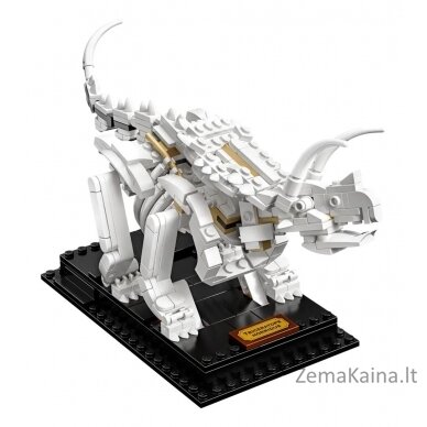 LEGO IDEAS 21320 Dinosaur Fossils 12