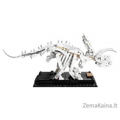 LEGO IDEAS 21320 Dinosaur Fossils 23