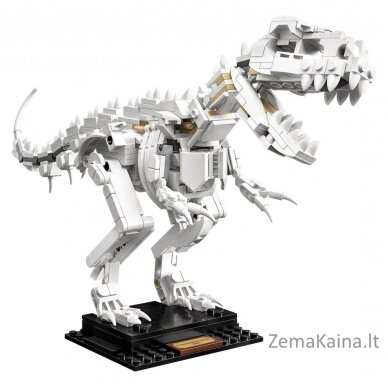 LEGO IDEAS 21320 Dinosaur Fossils 4