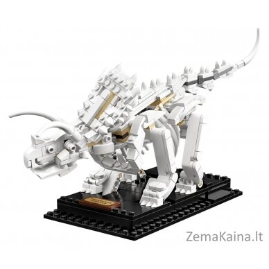 LEGO IDEAS 21320 Dinosaur Fossils 11