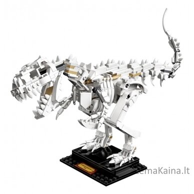 LEGO IDEAS 21320 Dinosaur Fossils 3