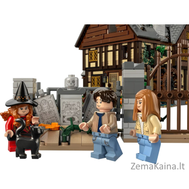 LEGO IDEAS 21341 Disney Hocus Pocus - Sanderson seserų namelis 13