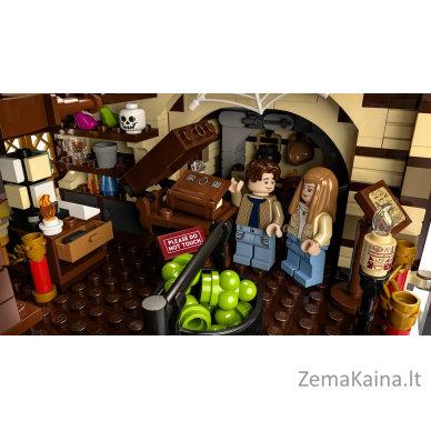 LEGO IDEAS 21341 Disney Hocus Pocus - Sanderson seserų namelis 12