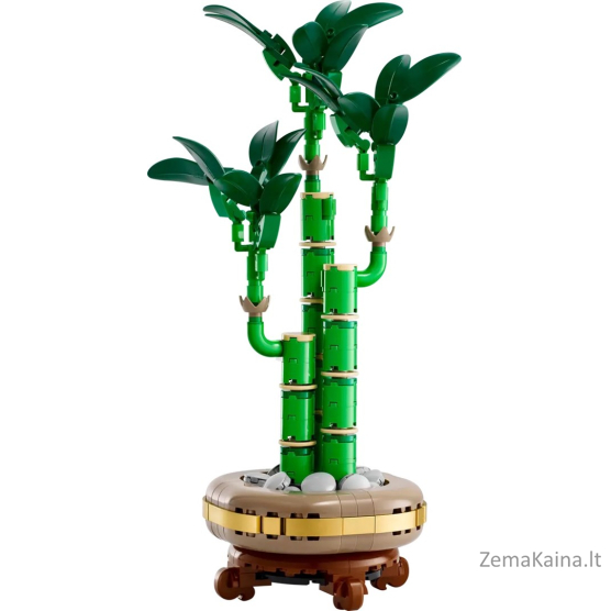 LEGO BOTANICALS 10344 Dracena sandera 2
