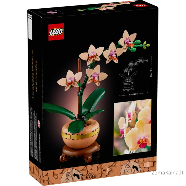 LEGO BOTANICALS 10343 Mała orchidea 1