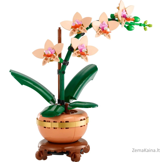 LEGO BOTANICALS 10343 Mała orchidea 2