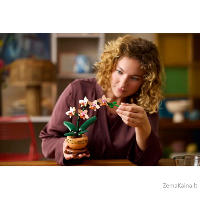 LEGO BOTANICALS 10343 Mała orchidea 5