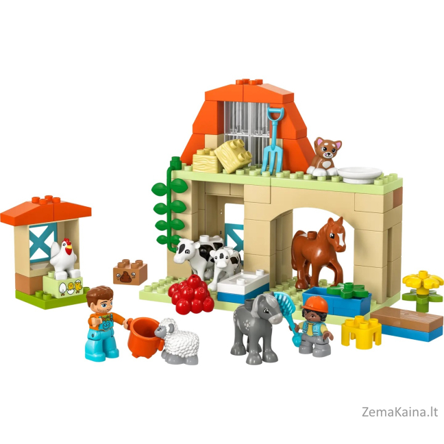 LEGO DUPLO  10416 Opieka nad zwierzętami na farmie 5