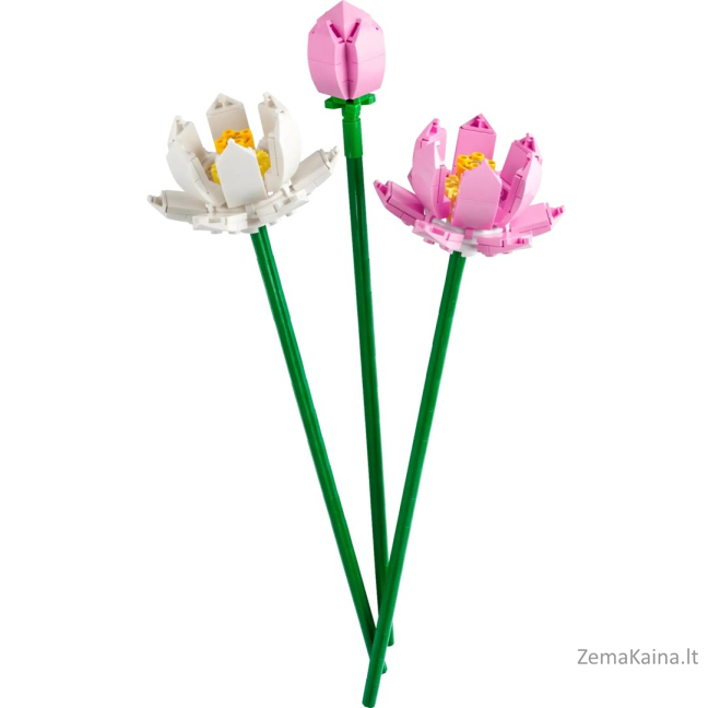 LEGO Flowers 40647 Kwiaty lotosu 2
