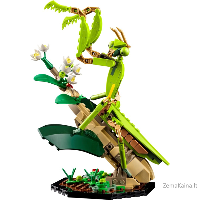 LEGO Ideas 21342 Kolekcja owadów 4