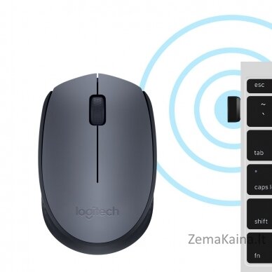 Logitech M170 Wireless Mouse kompiuterio pelė Abiems rankoms Radijo dažnio belaidė Optinis 1000 DPI 5