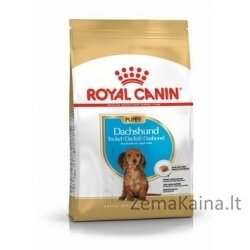 Maistas Royal Canin SHN Breed Dachshund Jun 1,5 kg