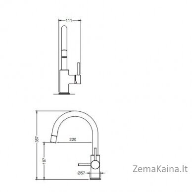 Maišytuvas su ištraukiama žarna Blue Water Plaza žalvaris 1