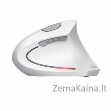 Mysz bezprzewodowa TRUST VERTO WIRELESS ERGO MOUSE WHT