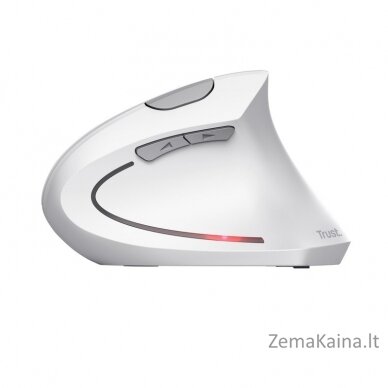 Mysz bezprzewodowa TRUST VERTO WIRELESS ERGO MOUSE WHT 1