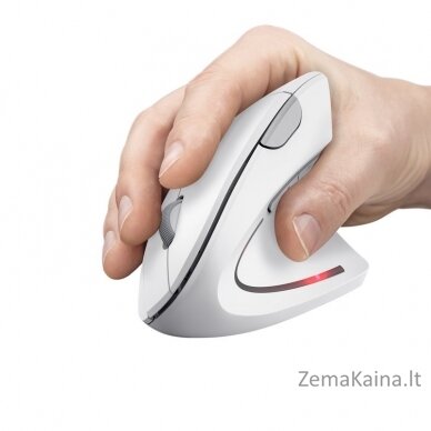 Mysz bezprzewodowa TRUST VERTO WIRELESS ERGO MOUSE WHT 5