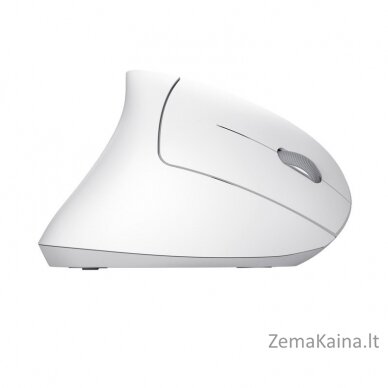 Mysz bezprzewodowa TRUST VERTO WIRELESS ERGO MOUSE WHT 6