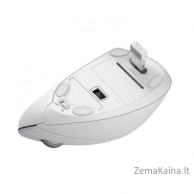 Mysz bezprzewodowa TRUST VERTO WIRELESS ERGO MOUSE WHT 2