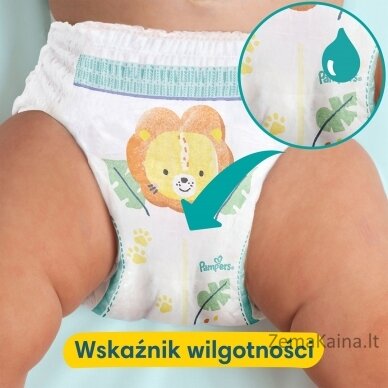 Pampers Pants Boy/Girl 6 84 pc(s) 2