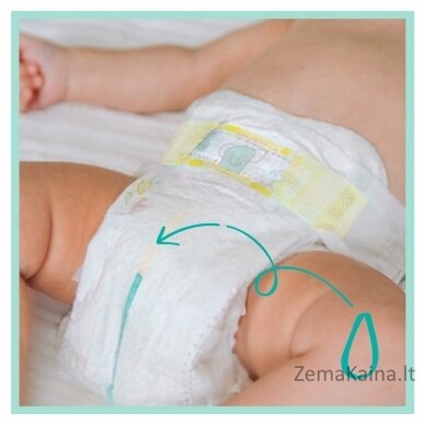 Pampers Premium Protection 81629463 vienkartinės sauskelnės Berniukams / mergaitėms 3 200 vnt 3