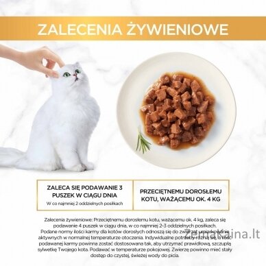 Purina 7613031806201 šlapias kačių maistas 85 g 8