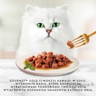 Purina GOURMET GOLD 85 g 1