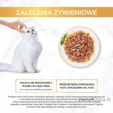 PURINA Gourmet Gold Succulent Delights Chicken - drėgno kačių ėdalo - 85g 9