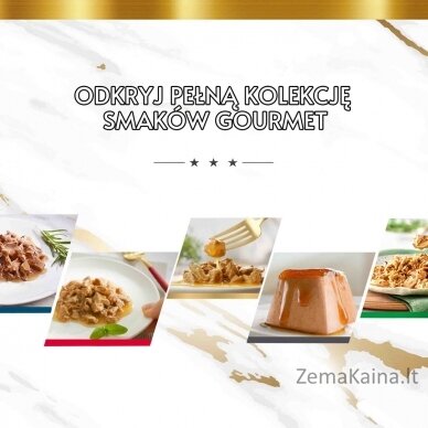 PURINA Gourmet Revelations Lašiša - drėgnas kačių maistas - 2x57 g 4