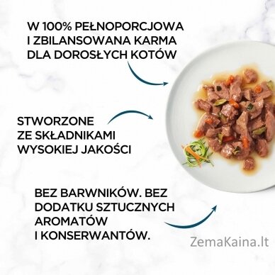 Purina GRMT PERLE GIGMV BEEF CRT šlapias kačių maistas 85 g 5