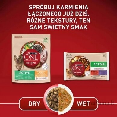 Purina ONE MINI Dog Active GiG wołowina, ziem. 85g 4