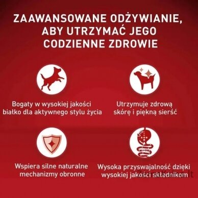 Purina ONE MINI Dog Active GiG wołowina, ziem. 85g 1