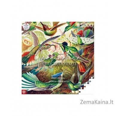 Puzzle Good Loot 1000 Imagination Ernst Haeckel Hummingbirds