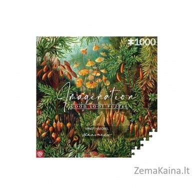 Puzzle Good Loot 1000 Imagination Ernst Haeckel Muscinae