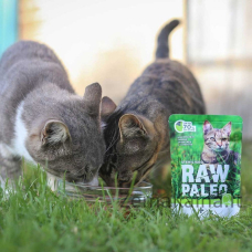 RAW PALEO Adult Cat Sterilized Elniena - šlapias kačių maistas - 100 g