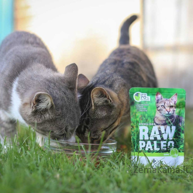 RAW PALEO Adult Cat Sterilized Elniena - šlapias kačių maistas - 100 g 2