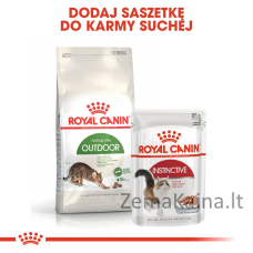 Royal Canin Active Life Outdoor sausas kačių maistas 4 kg Suaugusių Paukštiena