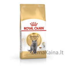 Royal Canin British Shorthair Adult sausas kačių maistas 4 kg