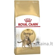 Royal Canin FBN Bengal Adult - sausas kačių maistas - 10kg