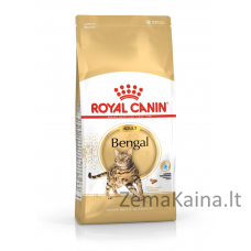 Royal Canin FBN Bengal Adult - sausas kačių maistas - 10kg