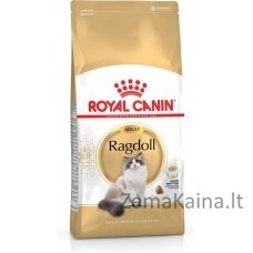 Royal Canin FBN Ragdoll Adult sausas kačių maistas 0,4kg