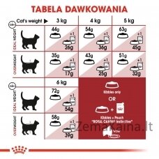 Royal Canin Feline Fit 2kg sausas kačių maistas Suaugusių